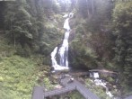 Archiv Foto Webcam Triberg Wasserfälle im Schwarzwald 14:00