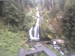 Archiv Foto Webcam Triberg Wasserfälle im Schwarzwald 05:00