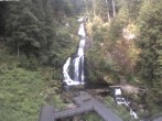 Archived image Webcam Triberg (Black Forest): Waterfalls 07:00