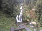 Archived image Webcam Triberg (Black Forest): Waterfalls 09:00