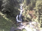 Archived image Webcam Triberg (Black Forest): Waterfalls 11:00