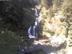 Archived image Webcam Triberg (Black Forest): Waterfalls 09:00