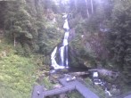 Archived image Webcam Triberg (Black Forest): Waterfalls 19:00