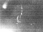 Archived image Webcam Triberg (Black Forest): Waterfalls 03:00