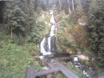 Archived image Webcam Triberg (Black Forest): Waterfalls 06:00