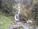 Archived image Webcam Triberg (Black Forest): Waterfalls 09:00