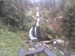 Archived image Webcam Triberg (Black Forest): Waterfalls 11:00