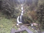 Archiv Foto Webcam Triberg Wasserfälle im Schwarzwald 19:00