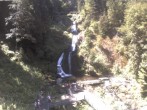 Archiv Foto Webcam Triberg Wasserfälle im Schwarzwald 11:00
