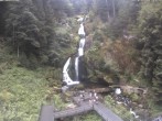 Archiv Foto Webcam Triberg Wasserfälle im Schwarzwald 13:00