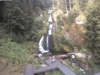 Archiv Foto Webcam Triberg Wasserfälle im Schwarzwald 07:00