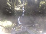 Archiv Foto Webcam Triberg Wasserfälle im Schwarzwald 15:00