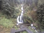 Archiv Foto Webcam Triberg Wasserfälle im Schwarzwald 07:00