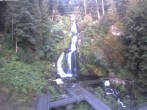 Archived image Webcam Triberg (Black Forest): Waterfalls 06:00