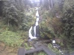 Archived image Webcam Triberg (Black Forest): Waterfalls 11:00