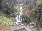 Archiv Foto Webcam Triberg Wasserfälle im Schwarzwald 09:00