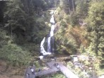 Archiv Foto Webcam Triberg Wasserfälle im Schwarzwald 11:00