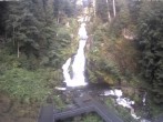Archived image Webcam Triberg (Black Forest): Waterfalls 06:00