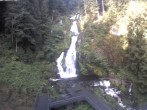 Archived image Webcam Triberg (Black Forest): Waterfalls 07:00