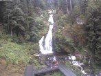 Archived image Webcam Triberg (Black Forest): Waterfalls 09:00