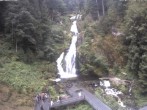 Archived image Webcam Triberg (Black Forest): Waterfalls 11:00