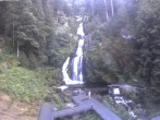 Archived image Webcam Triberg (Black Forest): Waterfalls 19:00