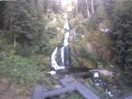 Archived image Webcam Triberg (Black Forest): Waterfalls 05:00