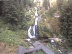 Archived image Webcam Triberg (Black Forest): Waterfalls 06:00