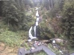 Archived image Webcam Triberg (Black Forest): Waterfalls 13:00