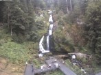 Archived image Webcam Triberg (Black Forest): Waterfalls 15:00