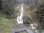 Archiv Foto Webcam Triberg Wasserfälle im Schwarzwald 07:00