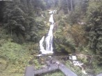 Archiv Foto Webcam Triberg Wasserfälle im Schwarzwald 09:00