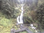 Archiv Foto Webcam Triberg Wasserfälle im Schwarzwald 11:00