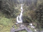Archiv Foto Webcam Triberg Wasserfälle im Schwarzwald 15:00