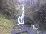 Archiv Foto Webcam Triberg Wasserfälle im Schwarzwald 19:00