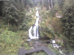 Archiv Foto Webcam Triberg Wasserfälle im Schwarzwald 07:00