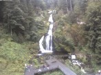 Archiv Foto Webcam Triberg Wasserfälle im Schwarzwald 09:00