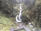 Archiv Foto Webcam Triberg Wasserfälle im Schwarzwald 13:00