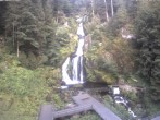 Archiv Foto Webcam Triberg Wasserfälle im Schwarzwald 07:00