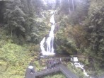 Archived image Webcam Triberg (Black Forest): Waterfalls 11:00