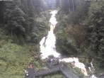 Archiv Foto Webcam Triberg Wasserfälle im Schwarzwald 13:00