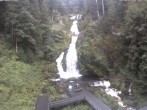 Archiv Foto Webcam Triberg Wasserfälle im Schwarzwald 09:00