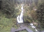 Archiv Foto Webcam Triberg Wasserfälle im Schwarzwald 06:00