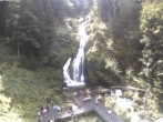 Archiv Foto Webcam Triberg Wasserfälle im Schwarzwald 13:00
