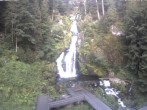 Archiv Foto Webcam Triberg Wasserfälle im Schwarzwald 06:00