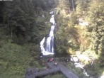Archiv Foto Webcam Triberg Wasserfälle im Schwarzwald 09:00