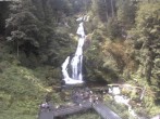 Archiv Foto Webcam Triberg Wasserfälle im Schwarzwald 11:00
