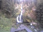 Archived image Webcam Triberg (Black Forest): Waterfalls 05:00
