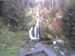 Archived image Webcam Triberg (Black Forest): Waterfalls 06:00