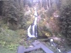 Archived image Webcam Triberg (Black Forest): Waterfalls 05:00